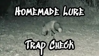 Homemade Trapping Lure Vs Commercial Trapping Lure
