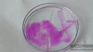 GolScience || Sodium + Water + Phenolphthalein Indicator