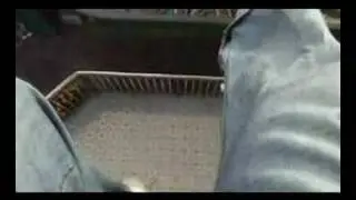 Solero shot live video, do you dare to do this?