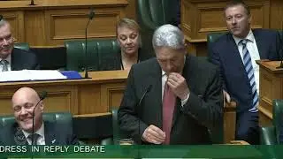 Winston Peters' scathing review of the Maori Party and media