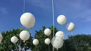 40 Days: White Balloons