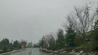 It's snowing in gig harbor