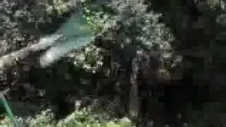 Fronk2107 - FND Films - Gay Zombie