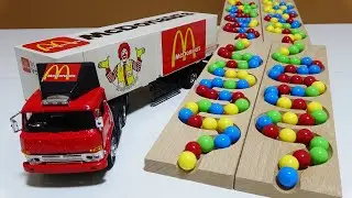 Marble Run Champions 🌈 ASMR HABA Slope & Dump Truck Race!