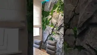 Stone & Green Wall in the Office