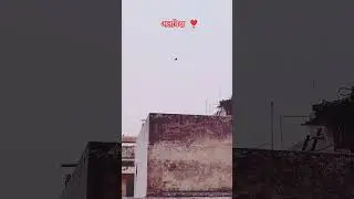 अलविदा ❣️ kite festival 🪁🪁#shorts #trending #kite #kitefestival #song #viral #shortsfeed