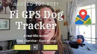 Should you buy the Fi GPS dog tracker?