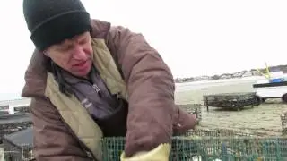 Storm cleanup on Brewster oyster flats