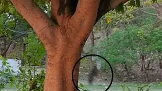 Ghost caught on tape in haunted well Warning   Scary Ghost Video