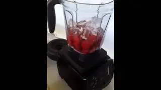 Vitamix 780