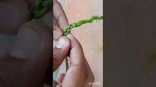 the most simple way to make a flower crown/real flower