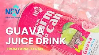 NPV Guava Juice Drink 250ml Can | Naturally Refreshing Guava Flavor