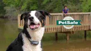 PetSafe&reg; Ferntrainer (DE)