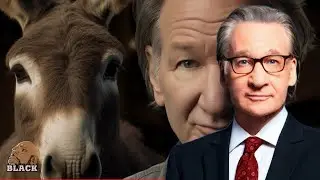 How Bill Maher Can Help Fix Chicago