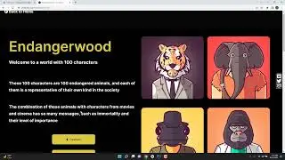 NFT SCAMMER CAUGHT - FAKE FOLLOWERS | FAKE TRANSACTIONS ON OPENSEA | NFT RUG yimavara NFT
