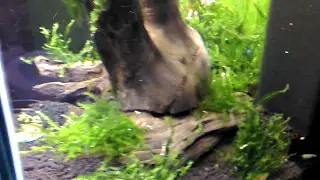 VIDEO0076