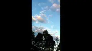 HK 900mm Tek Sumo Wing