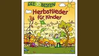 Regentropfen h&uuml;pfen