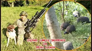 Cacer&iacute;a de GUINEA CIMARRONA con El RIFLE FX IMPACT y mi Braco Alem&aacute;n en el Monte