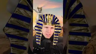 Marcanter Egypter  #marcant  #flut