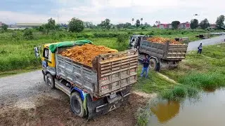 amazing landfill project full 100% , truck transport soil with bulldozer push soil building house