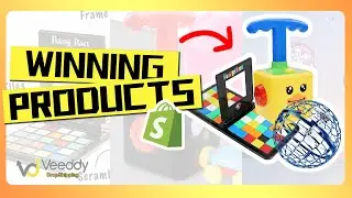 Veeddy DropShipping | WINNING PRODUCTS 2022 | Shopify DropShipping | 220101 | Toy | Game