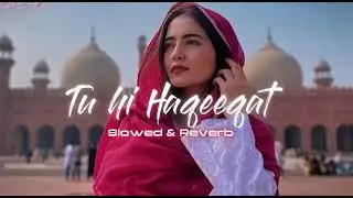 🎶Tu pass nahin fir bhi yah Dil tumse Karta Hai lo-fi song ❤️‍🩹