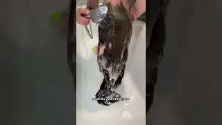 Мой уход за пористыми волосами