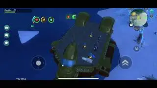SS Valor Owner Bug