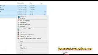 How to setup local servers on your computers 