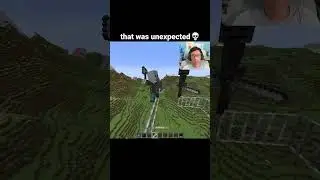 Minecraft Vindicator Moment