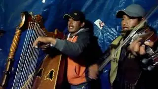 CAPULI ÑAWI CORACOREÑA - LOS ÍDOLOS DEL SUR DE PARINACOCHAS