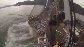 Get Some - F/V Sequel
