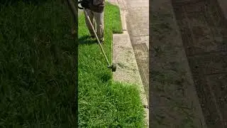 Lawn Edging ▶44