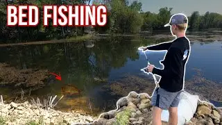 Sight Fishing SMALLMOUTH BASS in a POND!? | Who Put Them Here?