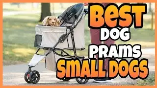 TOP 5 ✅BEST DOG PRAM FOR SMALL DOGS REVIEWED ✅SMALL DOG PRAM(STROLLER)| BEST DOG PRAM FOR SMALL DOGS