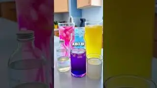 Color Change: Conduct a pH Indicator Experiment