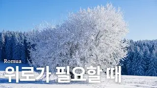 𝙿𝚕𝚊𝚢𝚕𝚒𝚜𝚝 : 위로가 필요할 때, 마음을 쉬게 하는 음악 | 1월 잔잔한 겨울음악 플레이리스트 | Winter Healing BGM ❄️