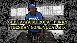 Ceega Wa Meropa - Funky Tuesday Non-Vocal Mix