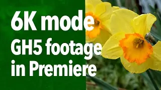 Использование 6K-материала GH5 Premiere Pro с Edit Ready 2.0