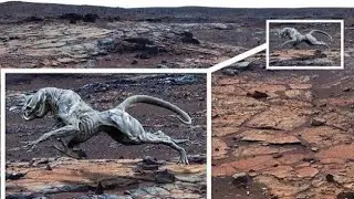 Mars 4k Stunning Video Looking For Life on Mars FULL Special  | NOVA |