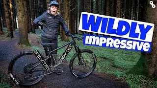 The Mountain Bike the BIG Brands Are Scared Of!