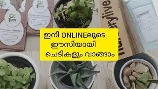 #nurserylive Unboxing online indoor and outdoor plants