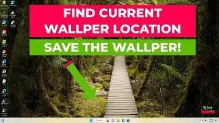 How to Find and Use the Current Wallpaper on Your Windows 11 PC When Using Windows Spotlight