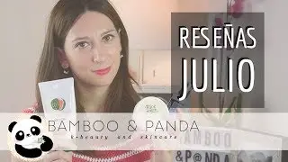 Reseñas de cosmética coreana de julio (Skinfood, Cosrx, P:rem, Skin79)