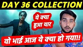 #Jawan box office collection day 36 jawan 36th day worldwide collection #srk jawan Collection