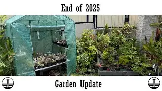 Обновление информации о саде на конец 2025 года