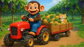 What Happened at the Farm?...The Monkey Farmer Drives a Tractor to Harvest Pineapples with the Cat