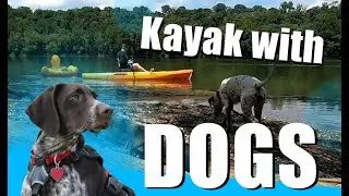 Kayak Camping with Dogs   |   German Shorthaired Pointer and Dalmatian