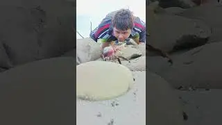 Giant Crab Near my Face #amazing